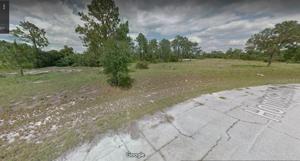 1323 HOMOSASSA