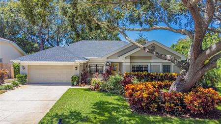 2944 SPRING OAK