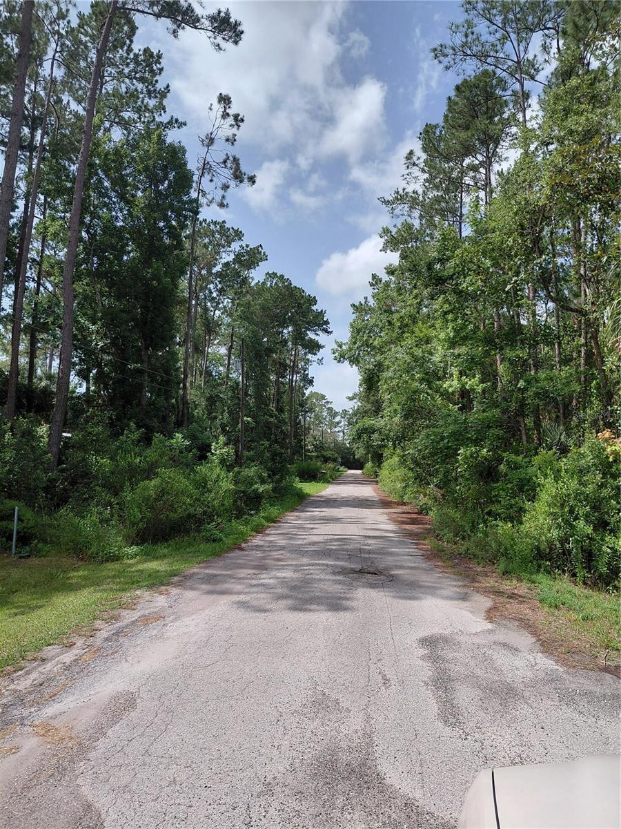 Image 1 Image 1