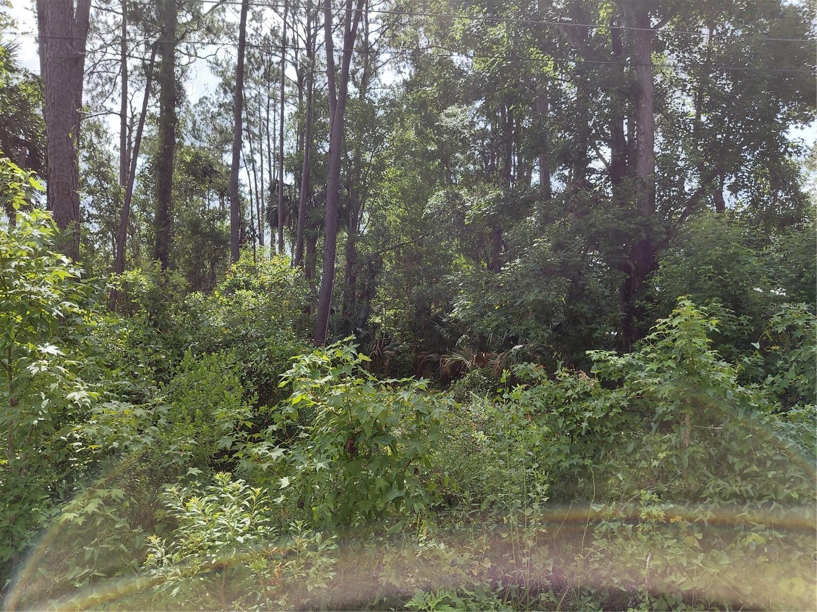 Image 3 Image 3