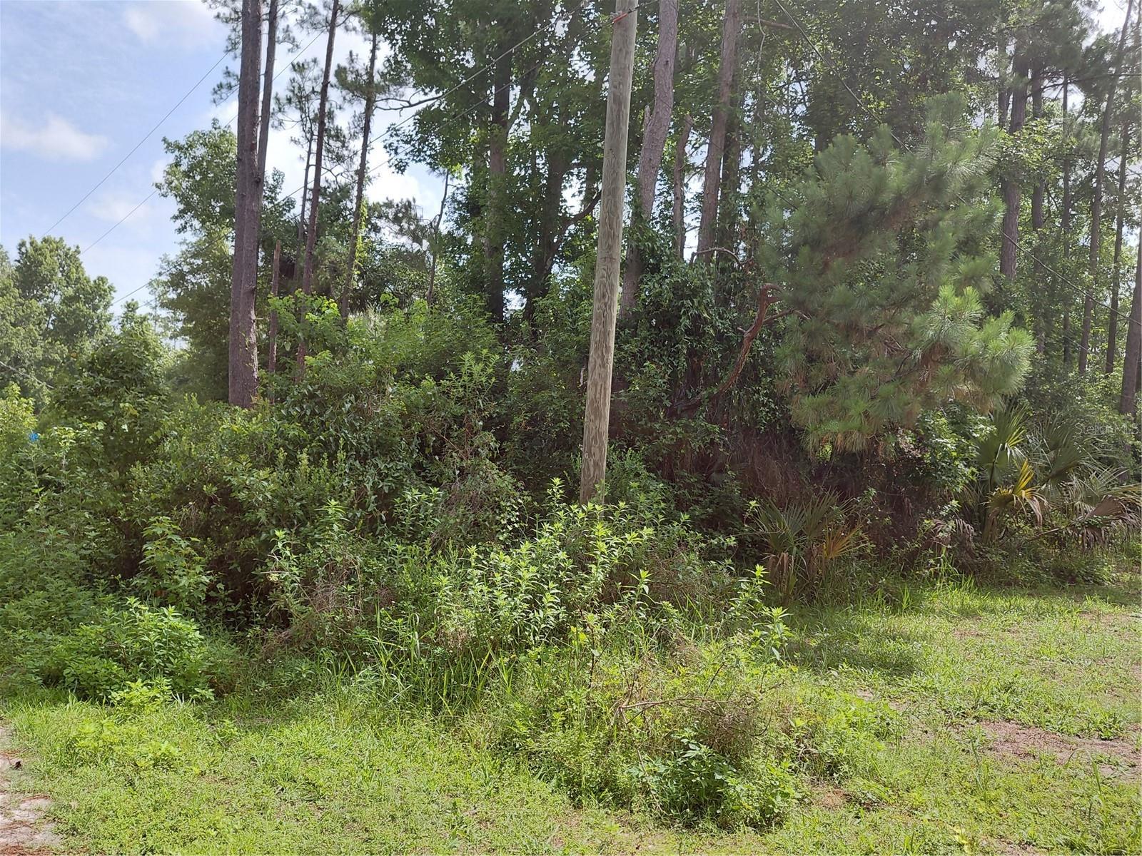 Image 4 Image 4