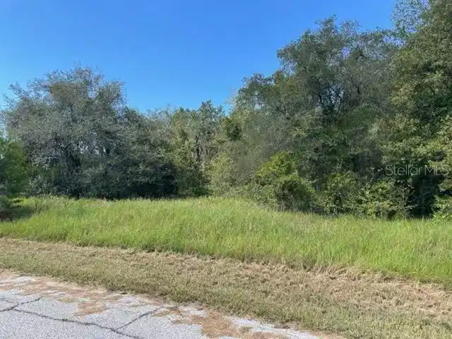 Image 1 Image 1