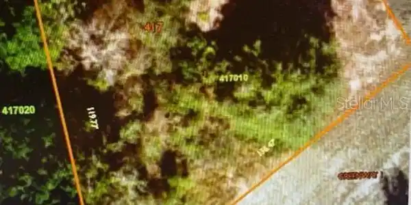 Image 4 Image 4