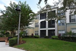 8264 MARITIME FLAG STREET