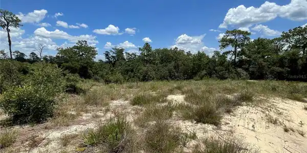 Image 4 Image 4
