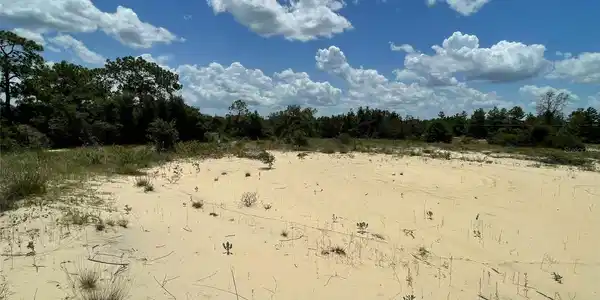 Image 4 Image 4