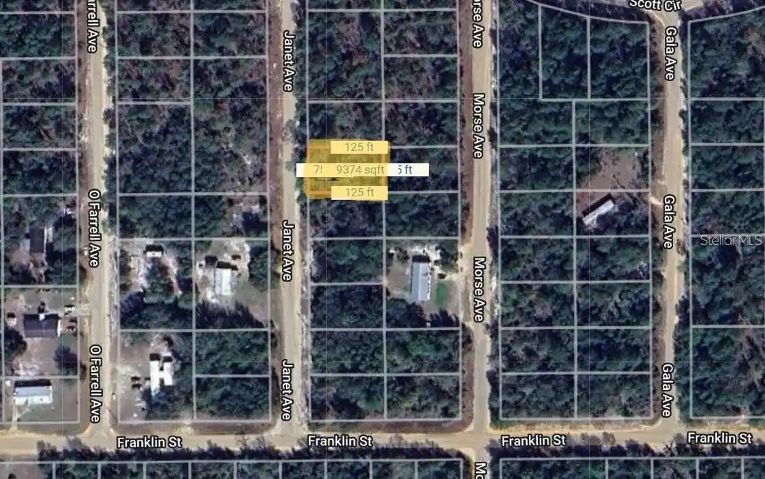 Image 1 Image 1