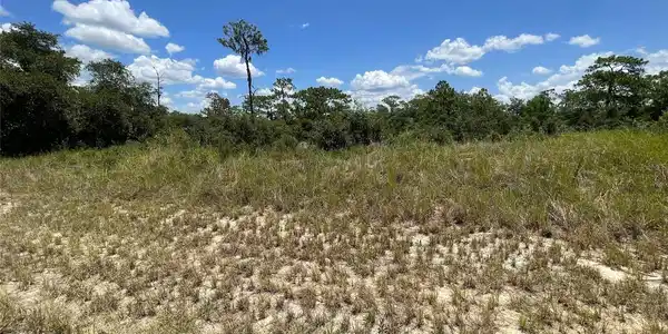 Image 4 Image 4
