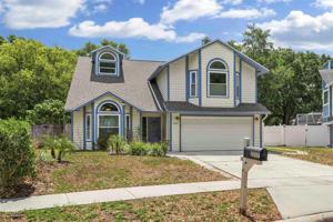 3237 MONTROSE