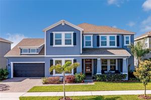 377 BLUE CYPRESS