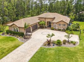 12176 GRAY BIRCH