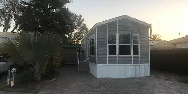 2416 CITRUS TREE