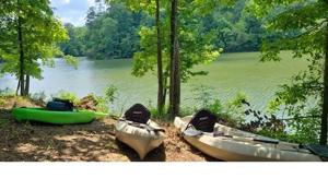 2862 Brewer Lake Rd