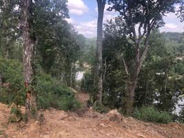 460 Co Rd 247