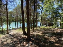 219 Hooty Hoot Holler Rd
