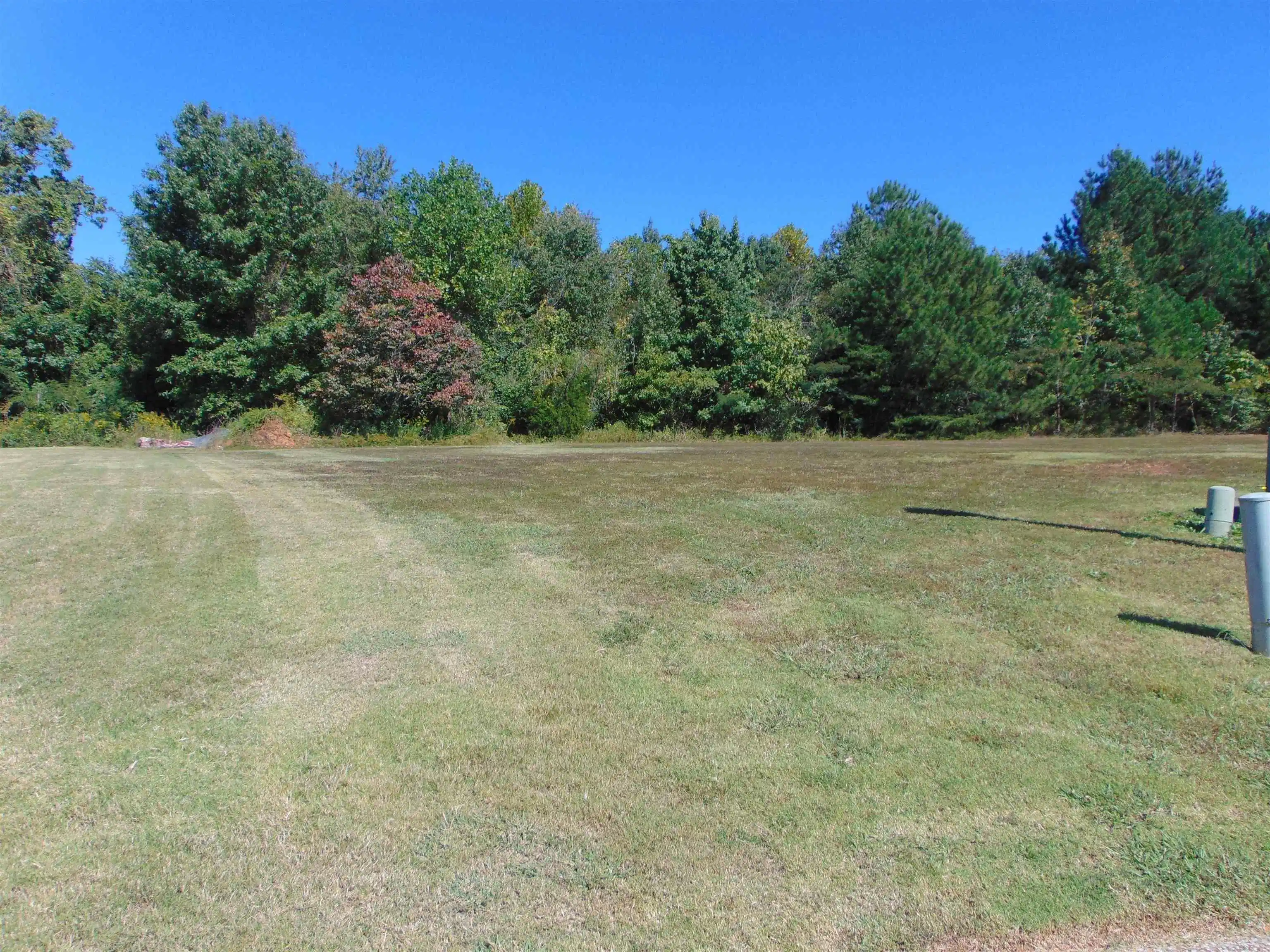 Image 1: Image 1