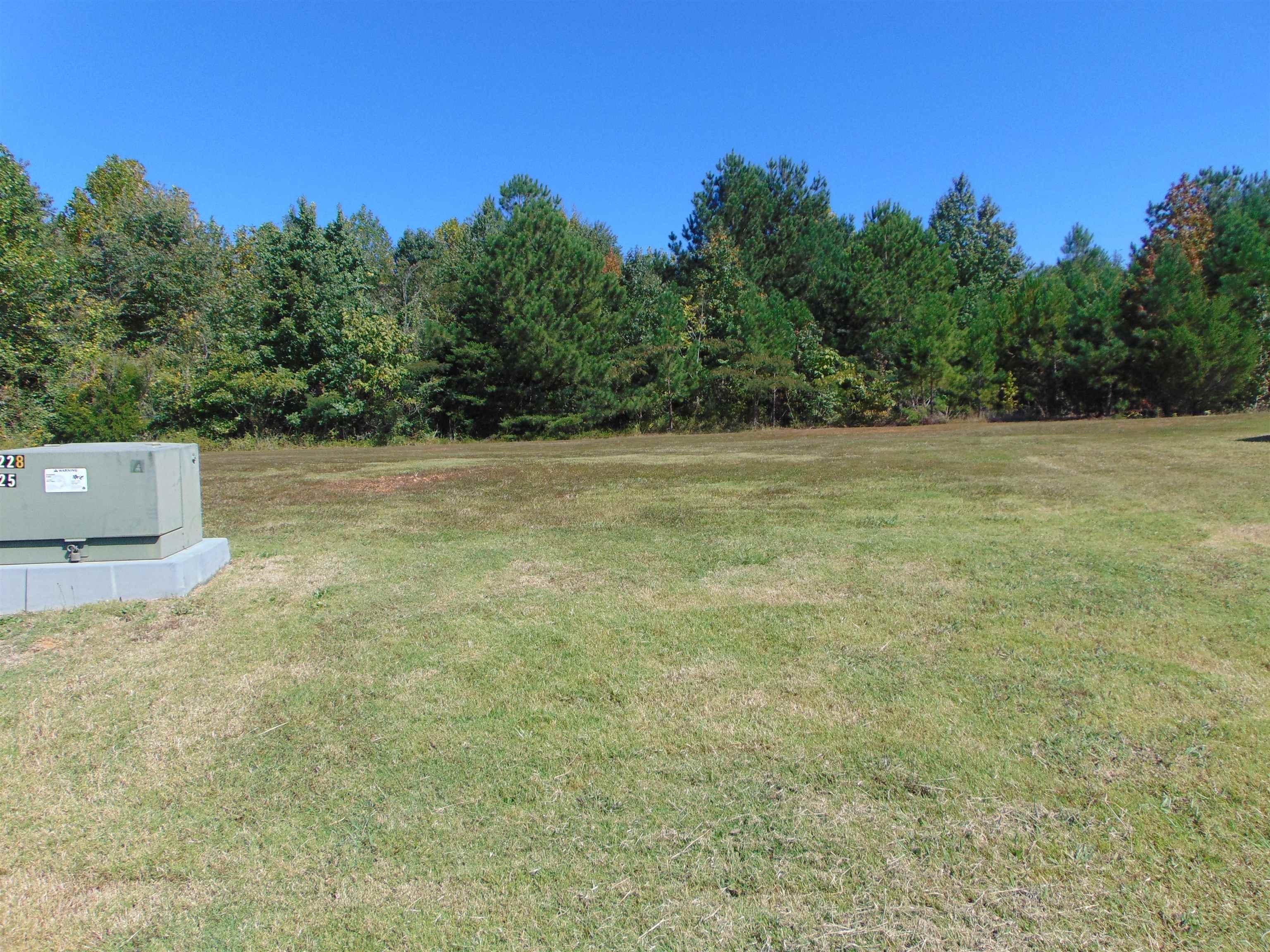 Image 1: Image 1