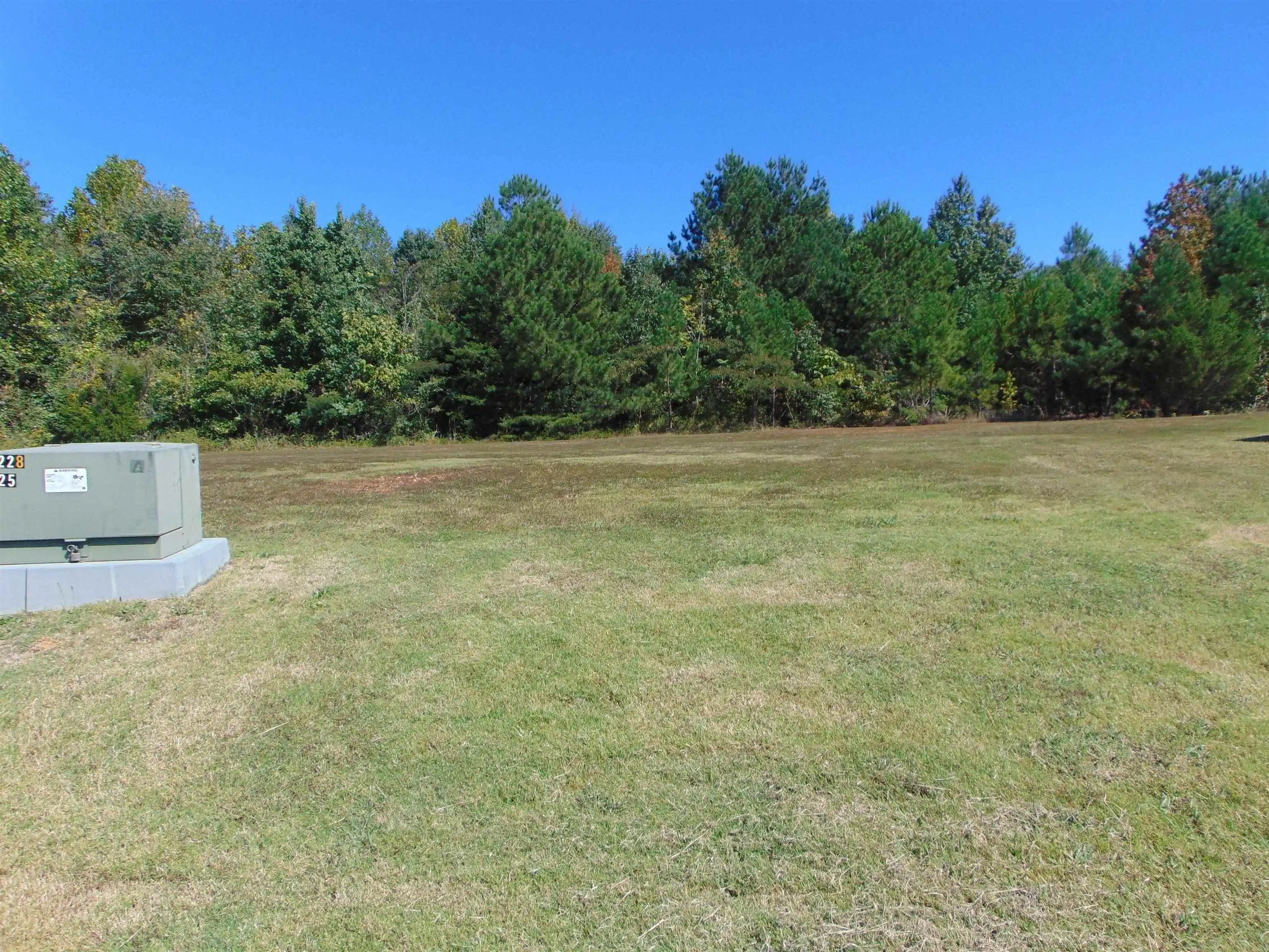 Image 1: Image 1