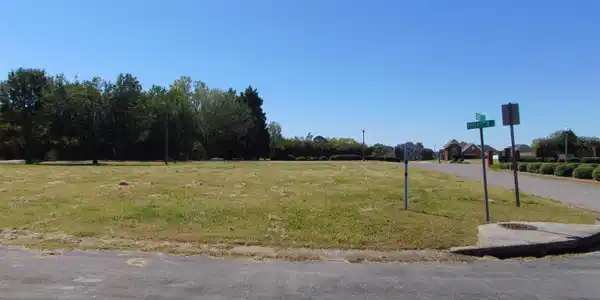 Image 4: Image 4