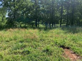 00 Golf Trail Rdg