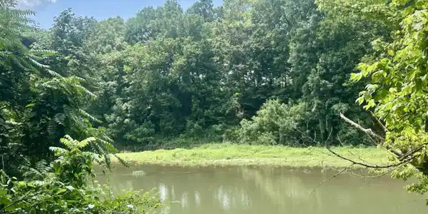 202 Garrett Rd