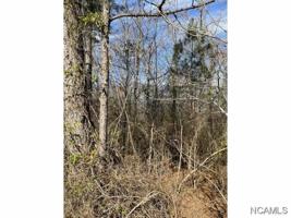 0 Co Rd 351