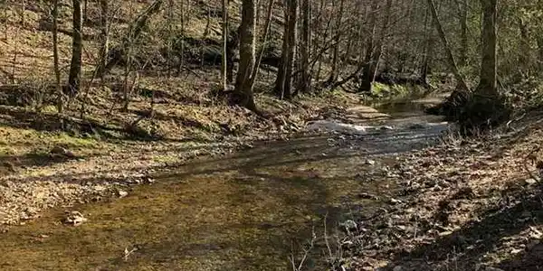 2970 Co Rd 94