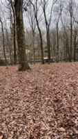 255 Ridgewood Dr