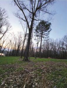 49 Dundrum Ct