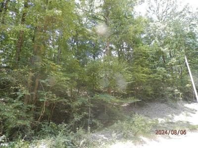 468 Paradise Dr