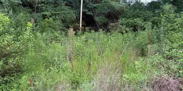 40 Edmonds Hollow Rd