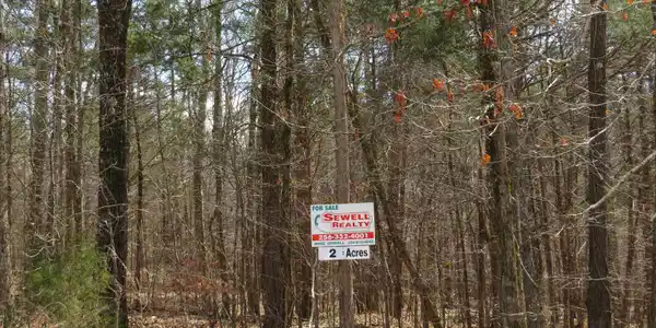 44 Lakefront Dr