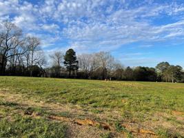 Lot 11 Cherry Ct