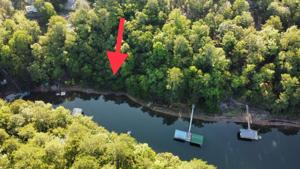 Lot 12 Dogwood Ln