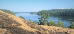 210 Co Rd 448