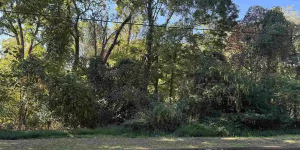 LOT 34 Pickwick St