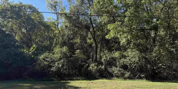 LOT 35 Pickwick St