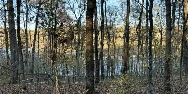 0 Co Rd 585