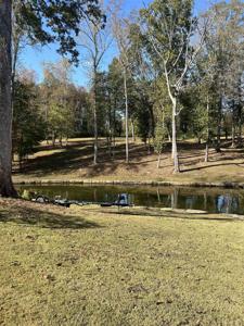 024 Co Rd 30