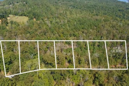 Lot 65 Peninsula Dr