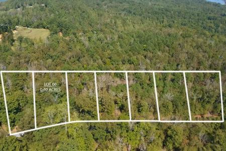 Lot 60 Peninsula Dr