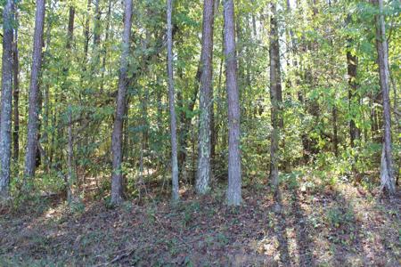 0 Co Rd 134