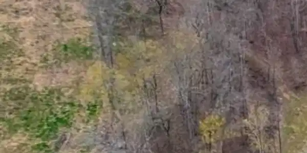 000 Co Rd 94