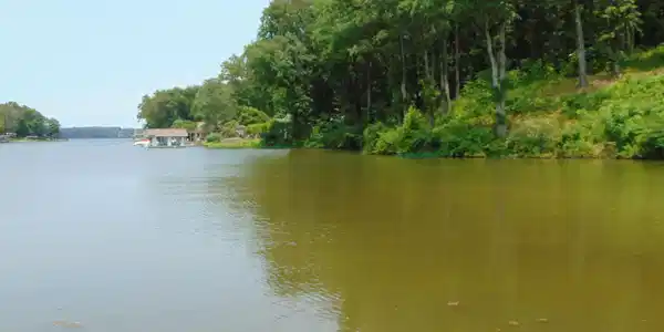 004 Wilson Lake Shores Rd