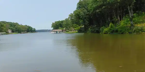 005 Wilson Lake Shores Rd