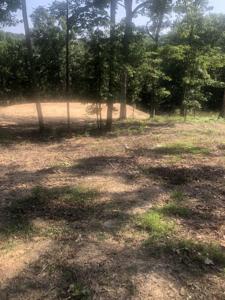 80 Caney Cove Rd