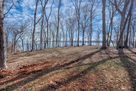 310 Highland Cove