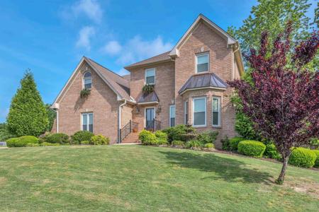 9176 Turtle Point Dr