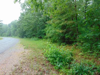 Lot 7 Riviera Dr.