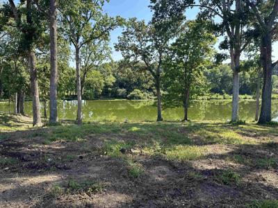 205 Co Rd 414